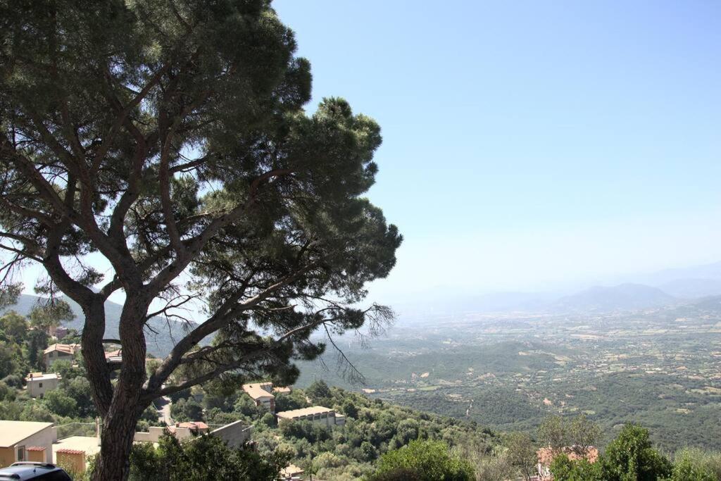 Ferienwohnung Montecolcau Panoramic View Baunei Exterior foto